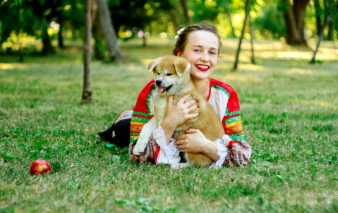 Акита-ину в Самаре